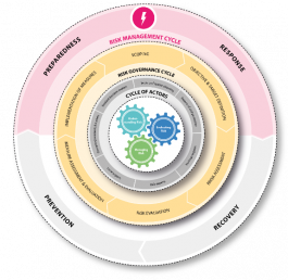 INTEGRATED RISK MANAGEMENT